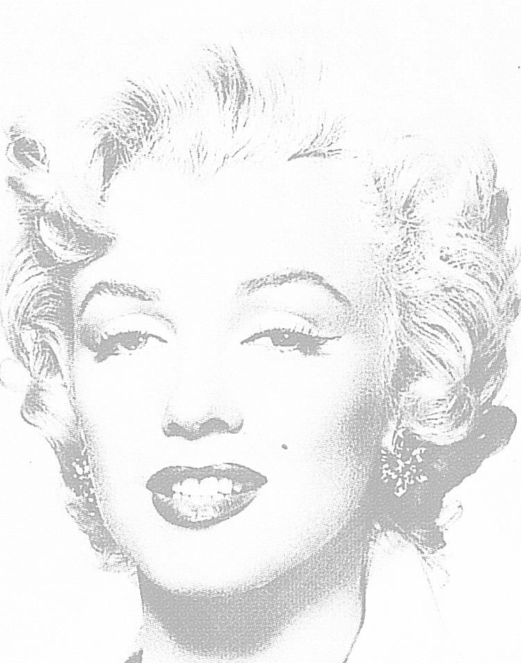 Créez votre propre série Marilyn (Andy Warhol l